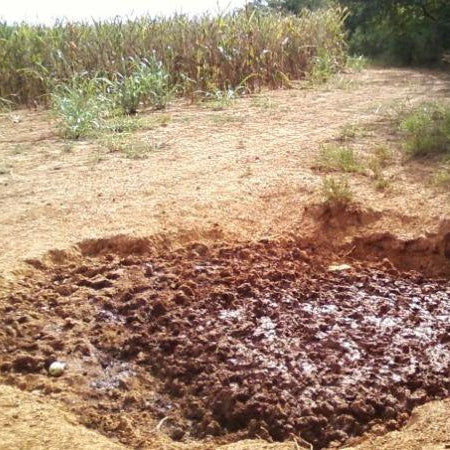 AntlerXtreme’s All-N-One Feed: Busting the Myth of Mineral Blocks