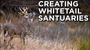 The Ultimate Guide to Creating Buck Sanctuaries: Boost Your Hunting Success with AntlerXtreme’s All-N-One Supplement Feed