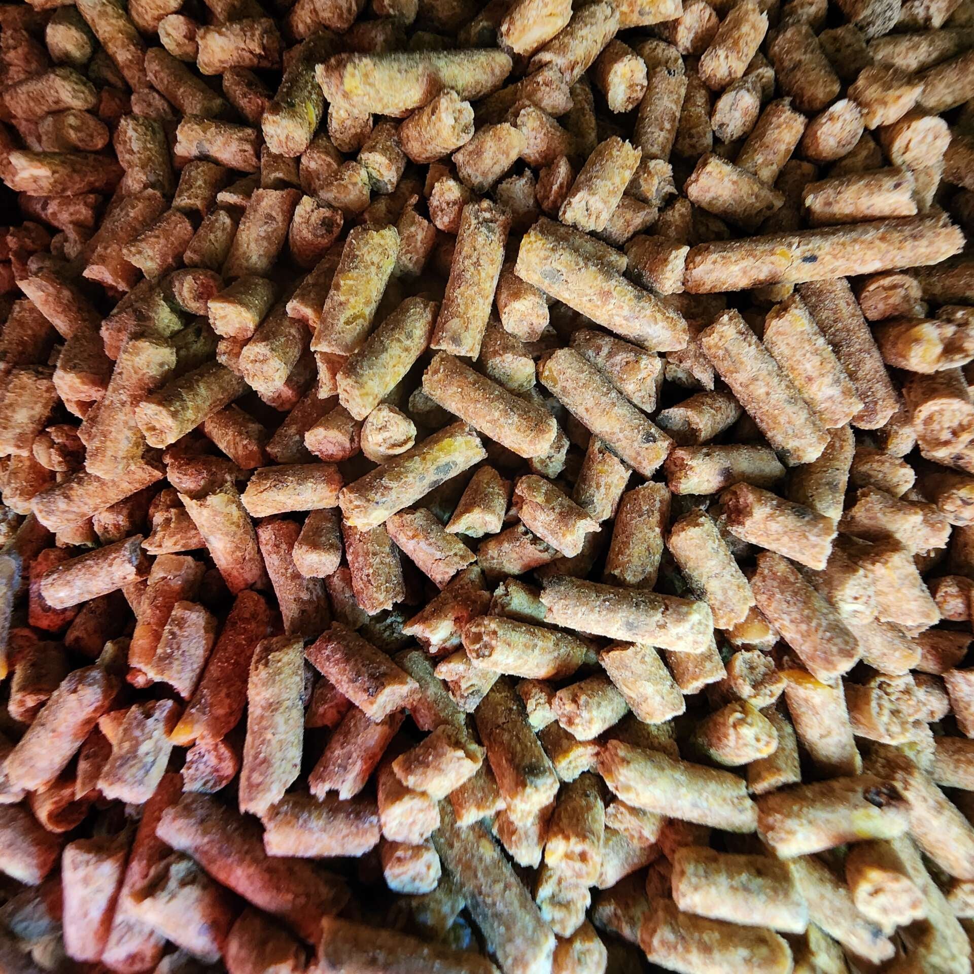 Deer Nutrition Part 1: Unraveling Nutritional Components in AntlerXtreme’s Feed