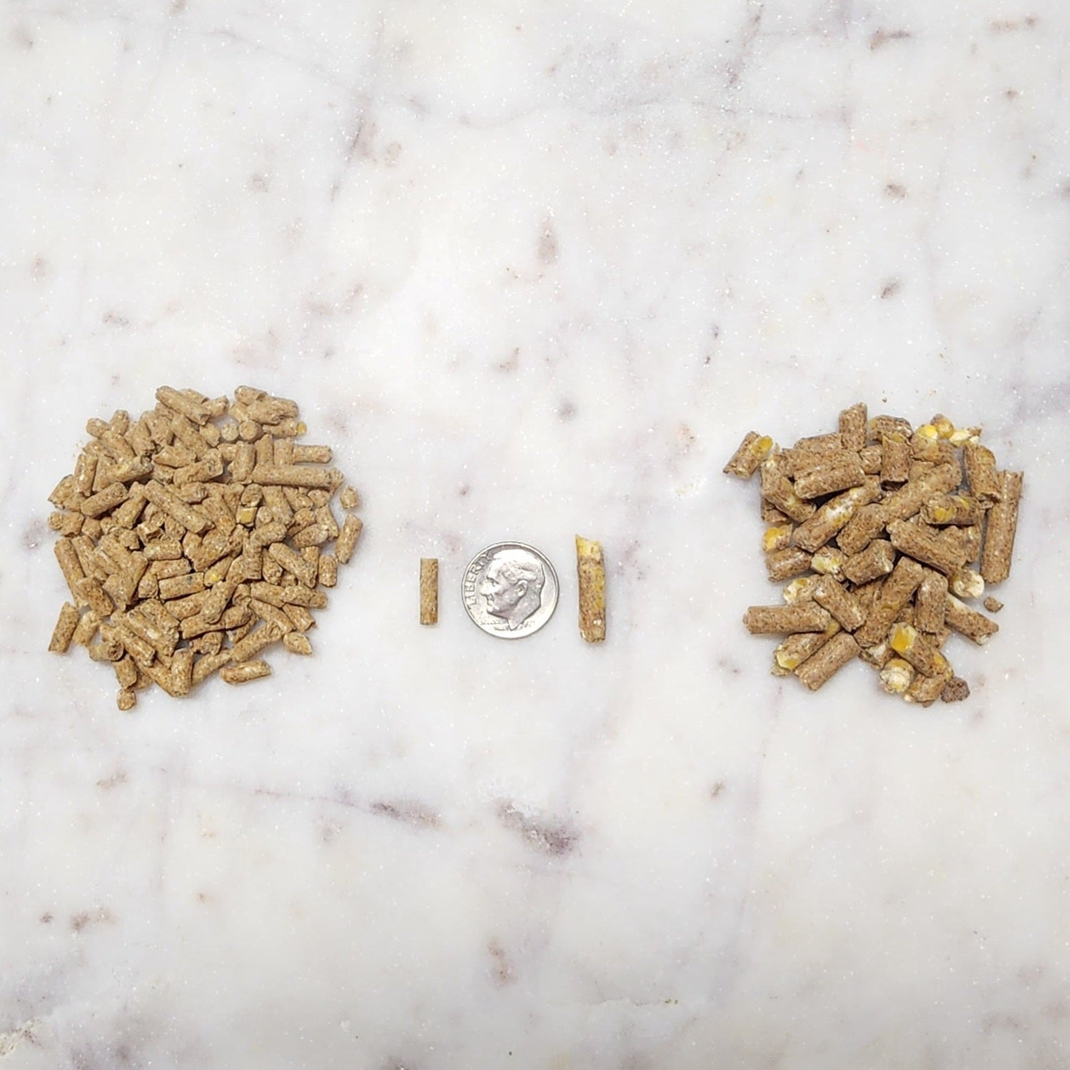 The Advantage of Micro Pellets and Feeder Versatility with AntlerXtreme’s All-N-One Deer Feed