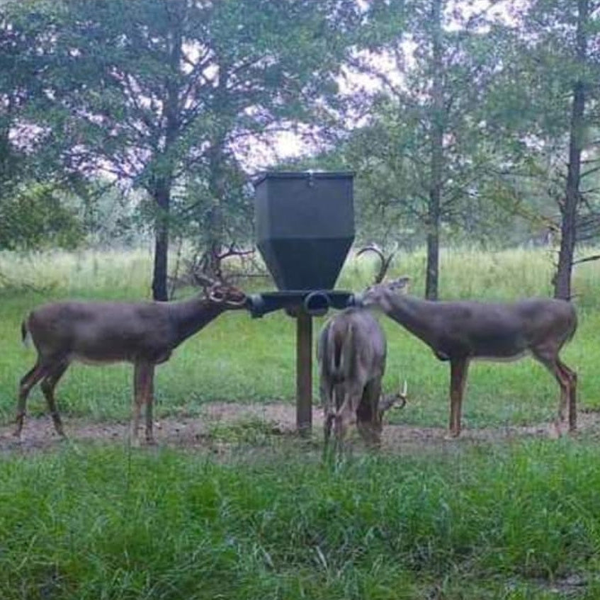 Micro Pellets, Gravity Feeders, and the Superiority of AntlerXtreme’s All-N-One Deer Feed
